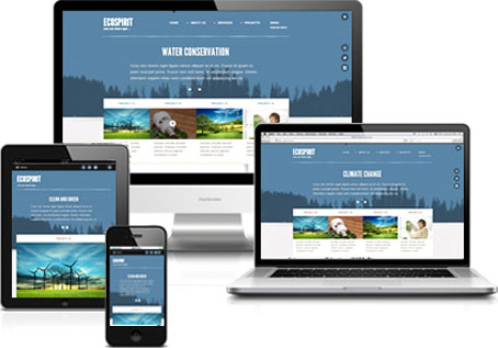 Washington, DC Responsive Web Design